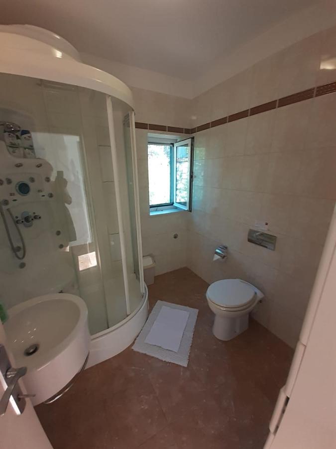 Apartman Ilicic *